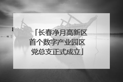 长春净月高新区首个数字产业园区党总支正式成立